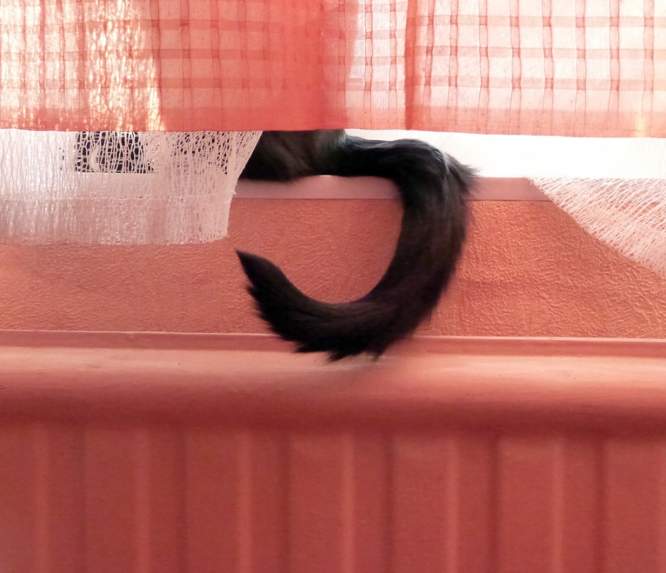 Жители дома на Маршала Жукова замерзают в квартирах после аварии